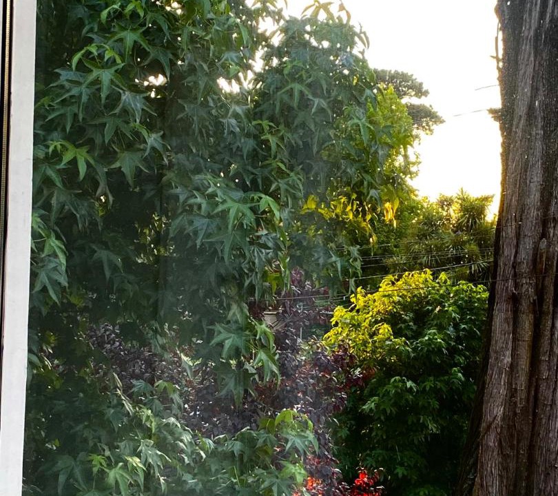 Photo of Others in Bosque Peralta Ramos