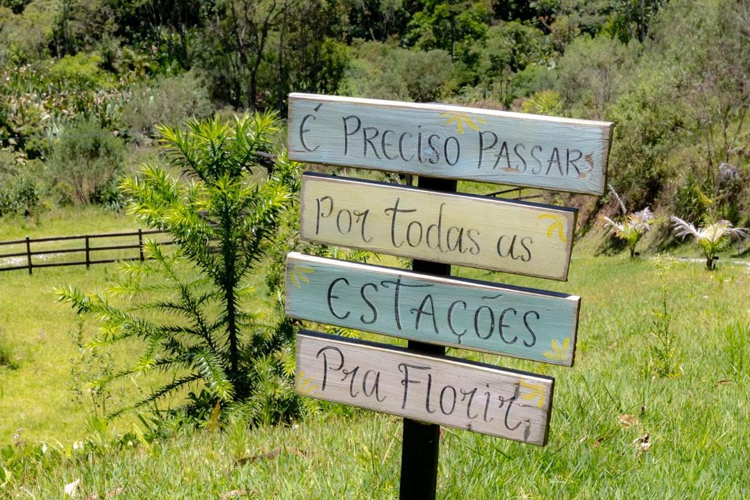 Photo of Others in Sao Pedro de Alcantara