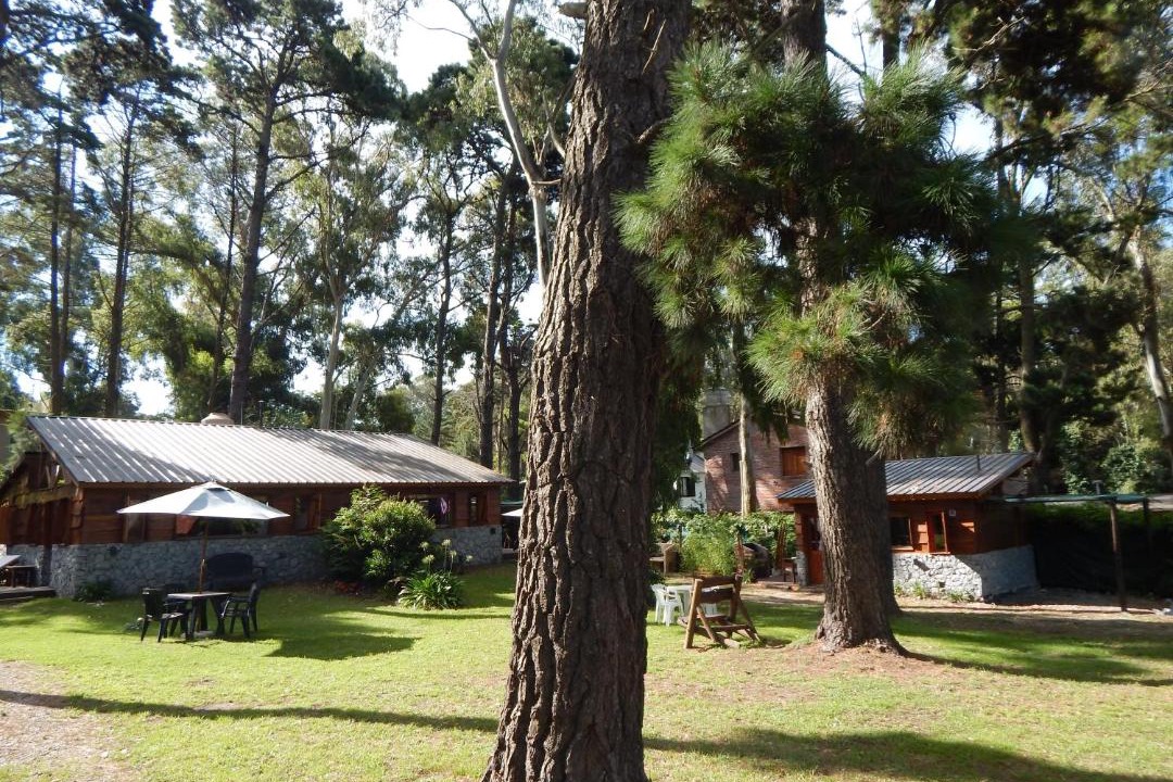 Photo of Others in Bosque Peralta Ramos