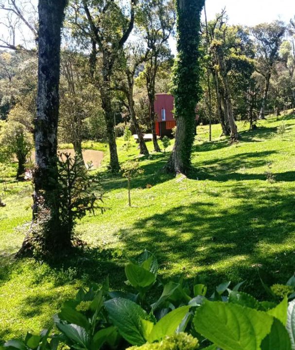 Photo of Others in Sao Francisco de Paula