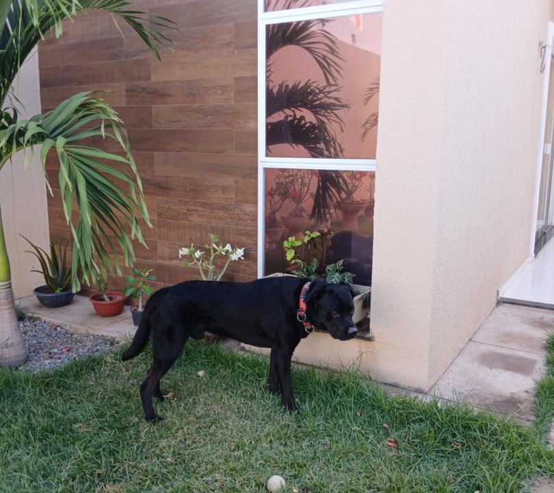Photo of Others in Sobral