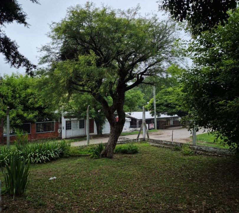 Photo of Others in Trapiche