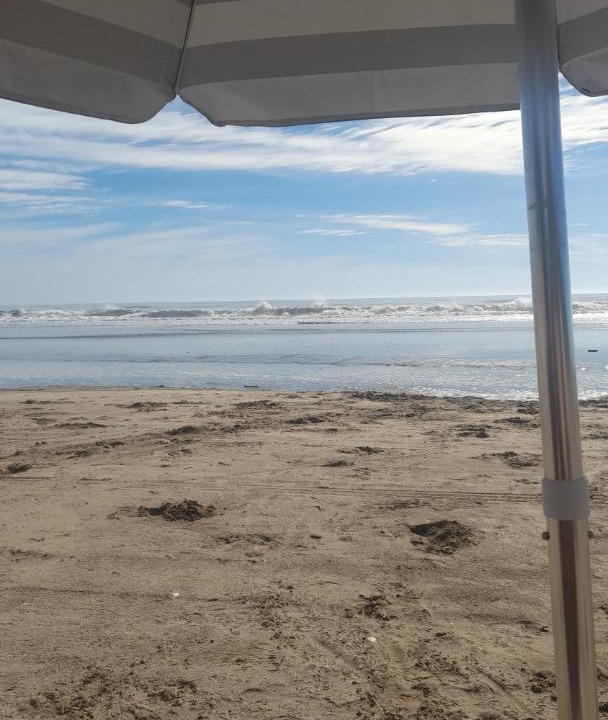 Photo of Others in San Clemente