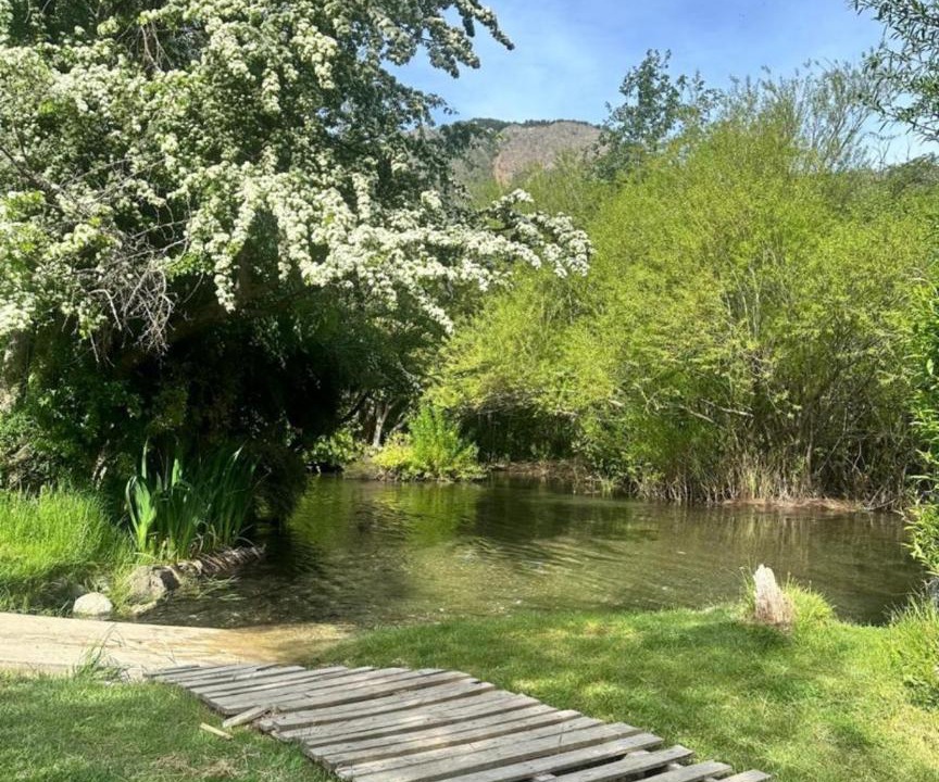 Photo of Others in Villa Los Coihues