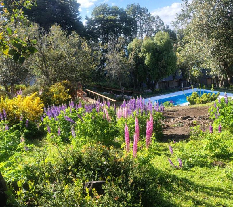 Photo of Others in Villa Pehuenia