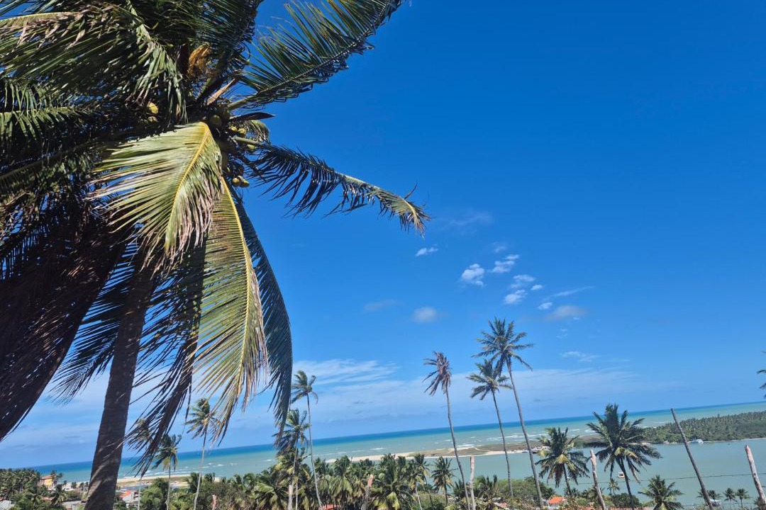 Photo of Others in Barra do Cunhau