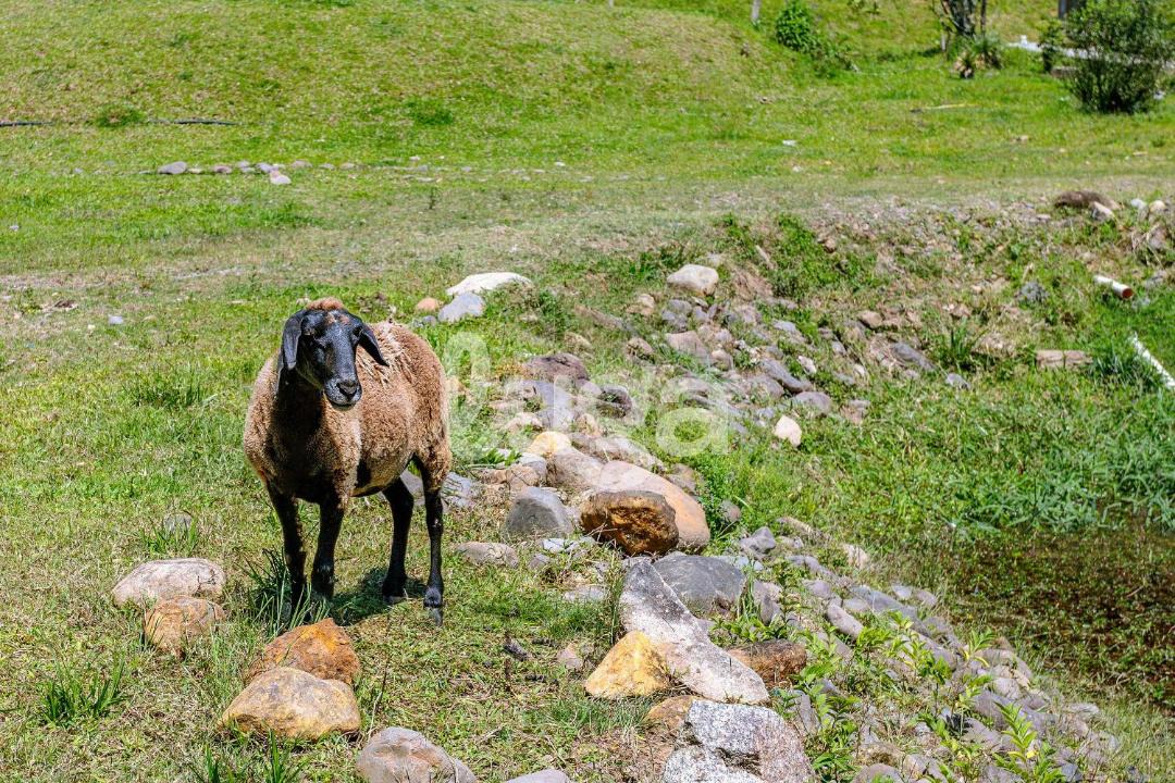 Photo of Others in Orleans