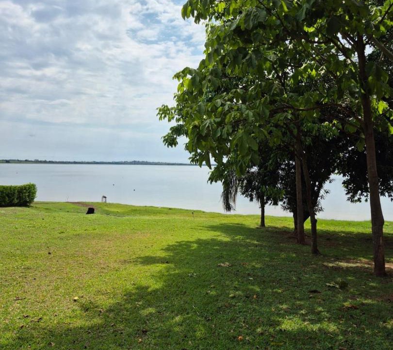 Photo of Others in Santa Fe do Sul