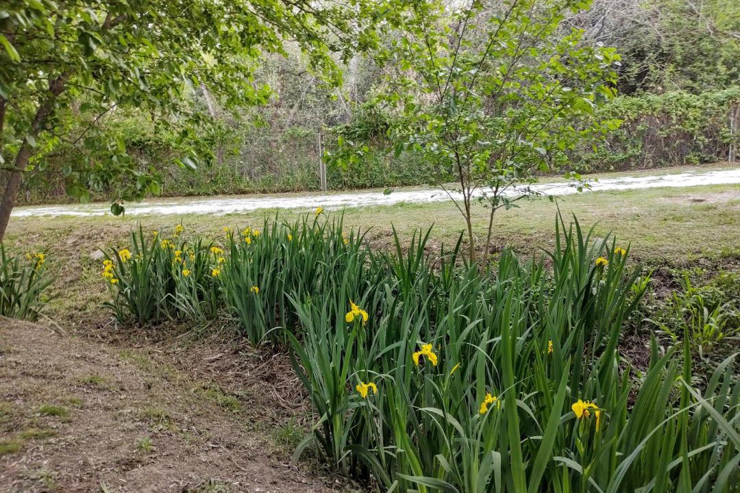Photo of Outdoor in Villa La Bolsa