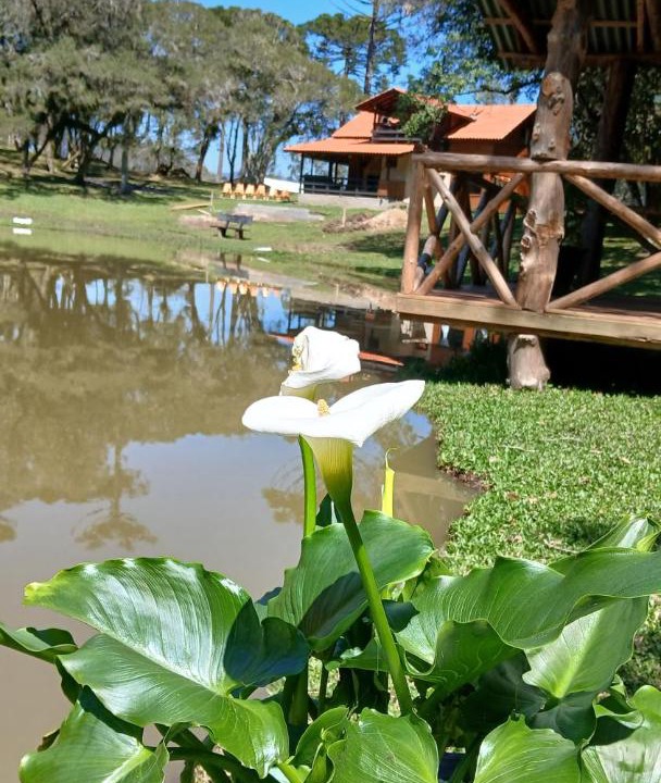 Photo of Others in Rio Rufino