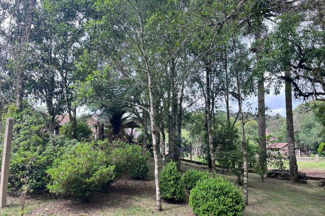 Photo of Others in Campo Alegre