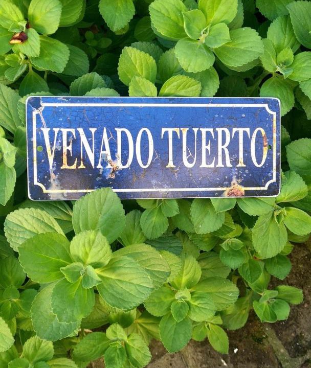 Photo of Others in Venado Tuerto
