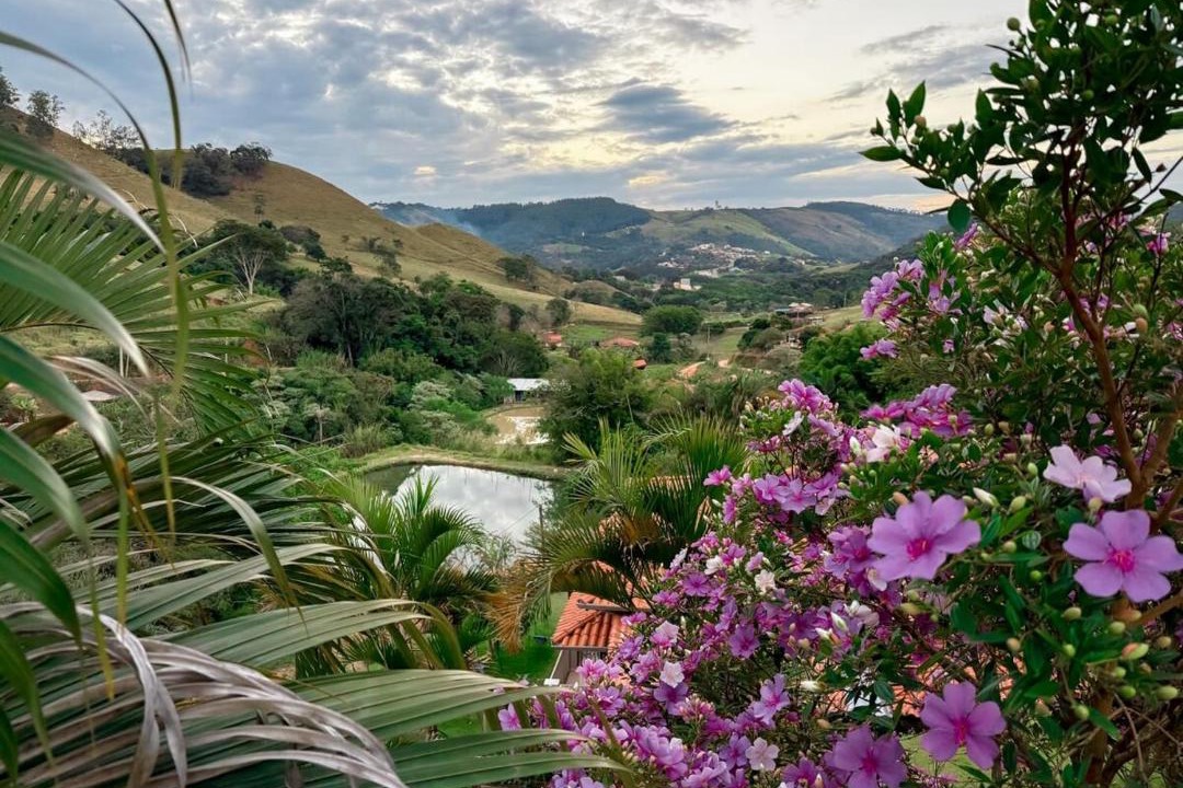Photo of Others in Monte Alegre do Sul