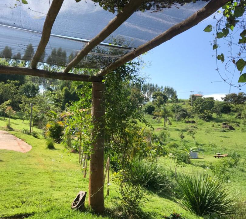 Photo of Others in Campinas