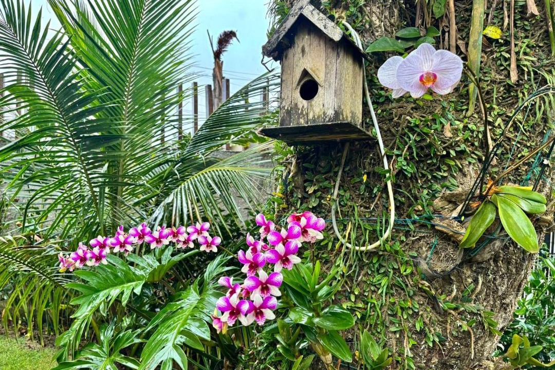 Photo of Others in Bananeiras