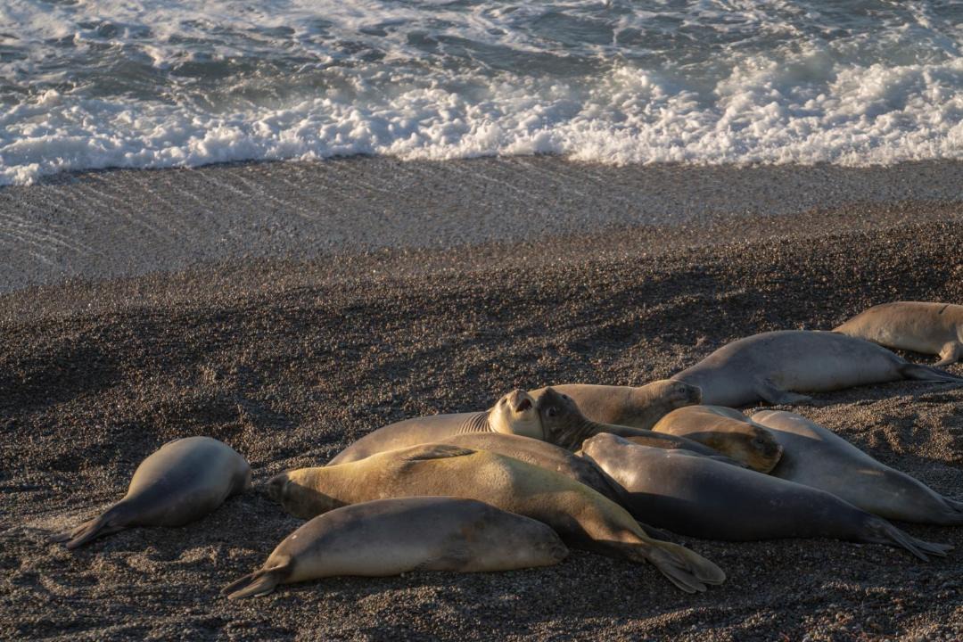 Photo of Others in Punta Delgada