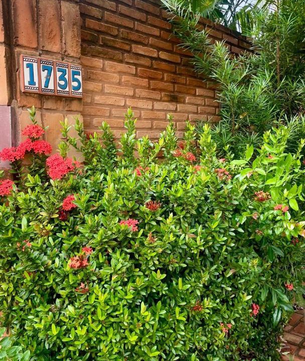 Photo of Others in Vila Messias