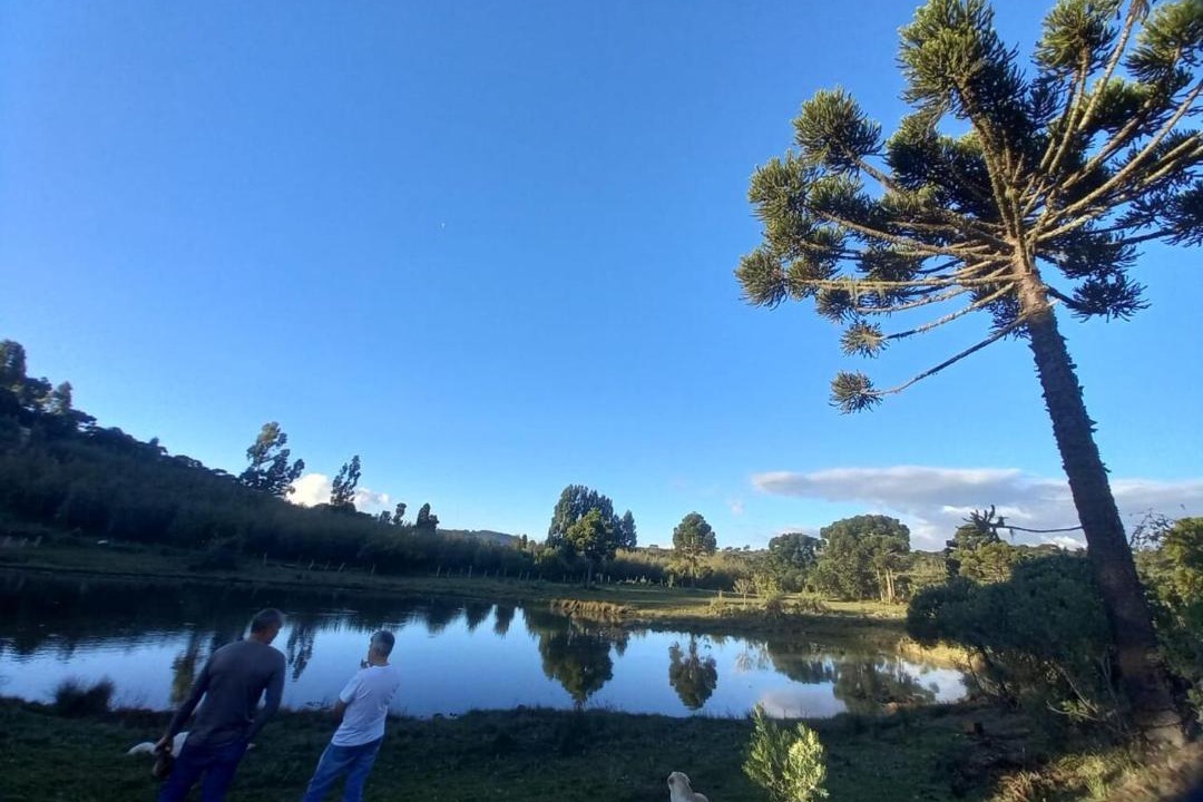 Photo of Others in Urupema