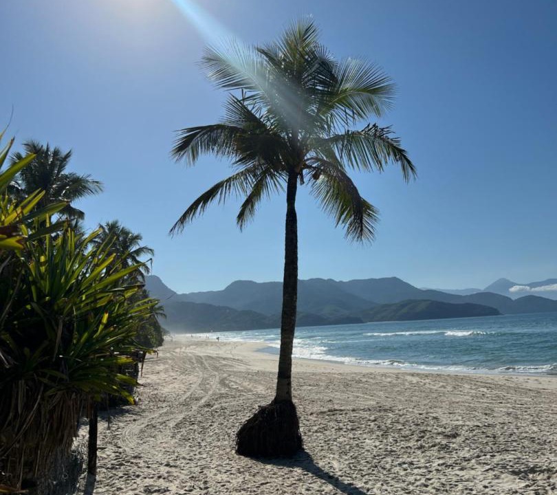 Photo of Others in Maresias