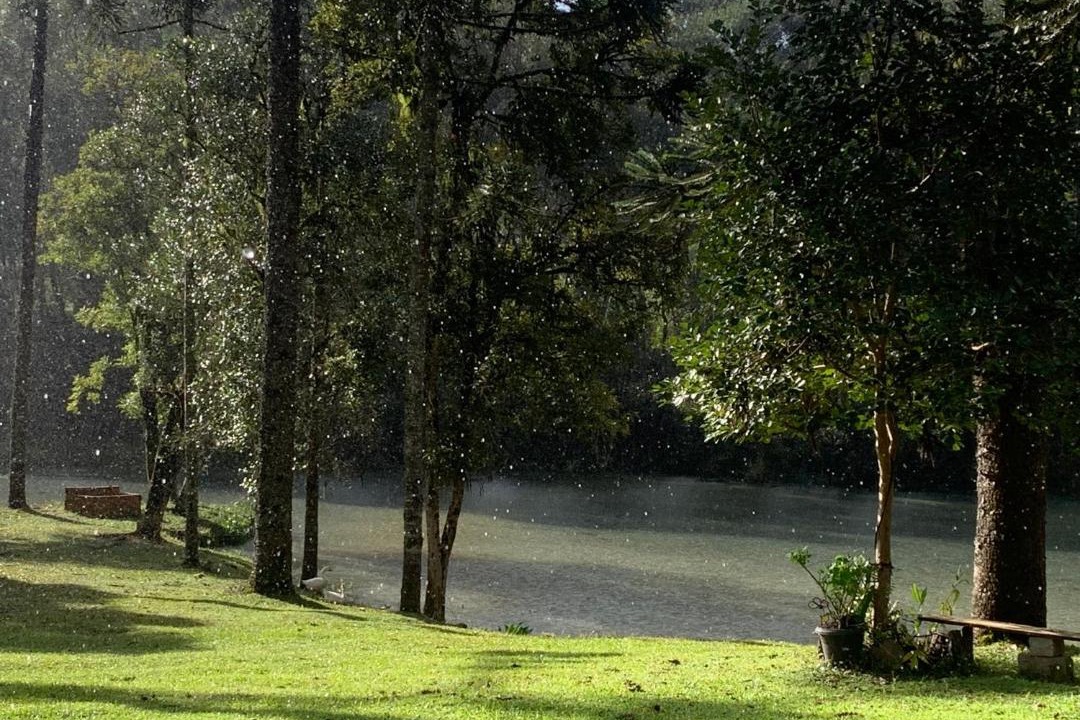 Photo of Others in Rio Negro