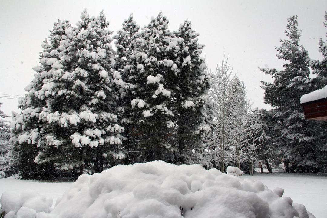 Photo of Others in Esquel