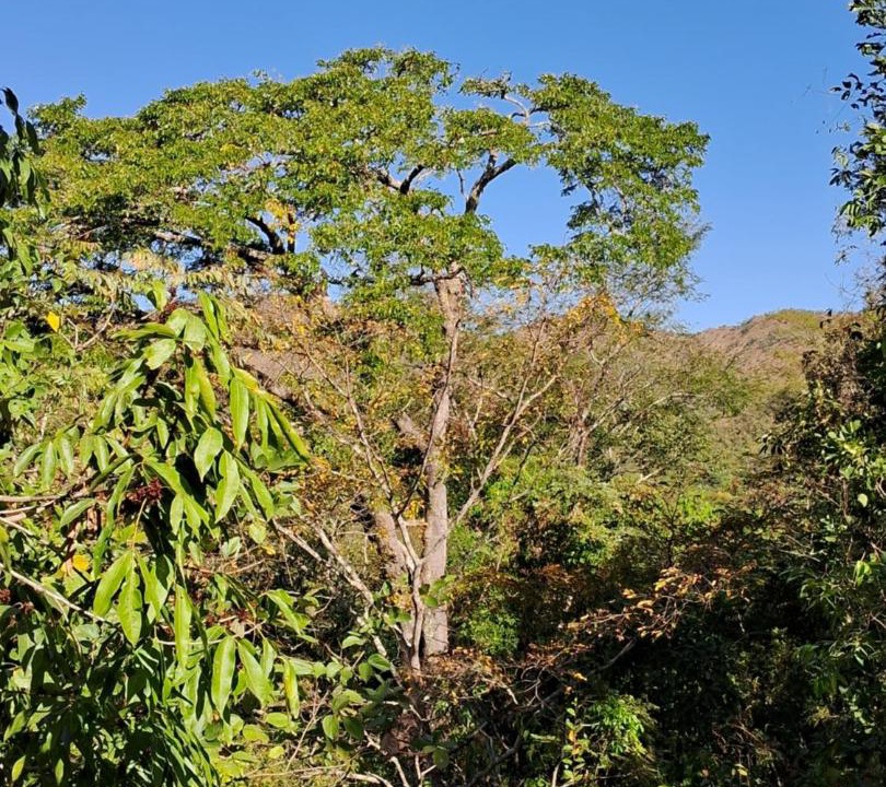 Photo of Others in Colinas do Sul