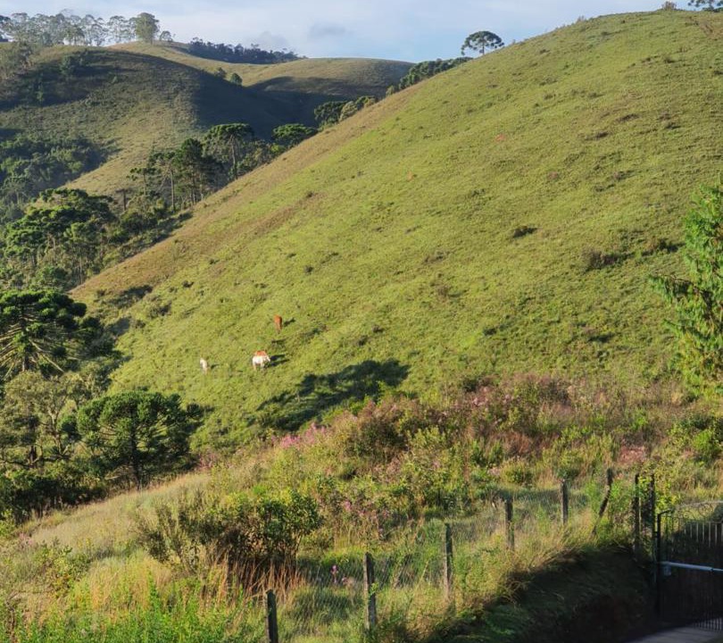 Photo of Others in Campos do Jordao