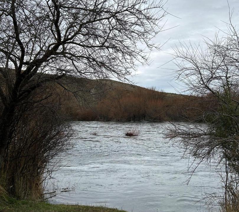 Photo of Others in Junin de los Andes