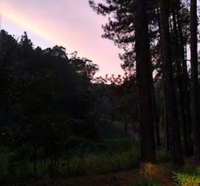 Photo of Others in Mairipora