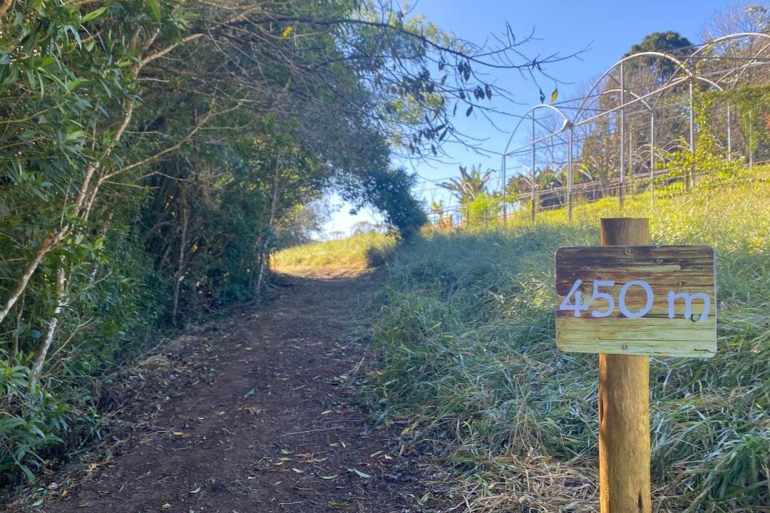 Photo of Outdoor in Cunha