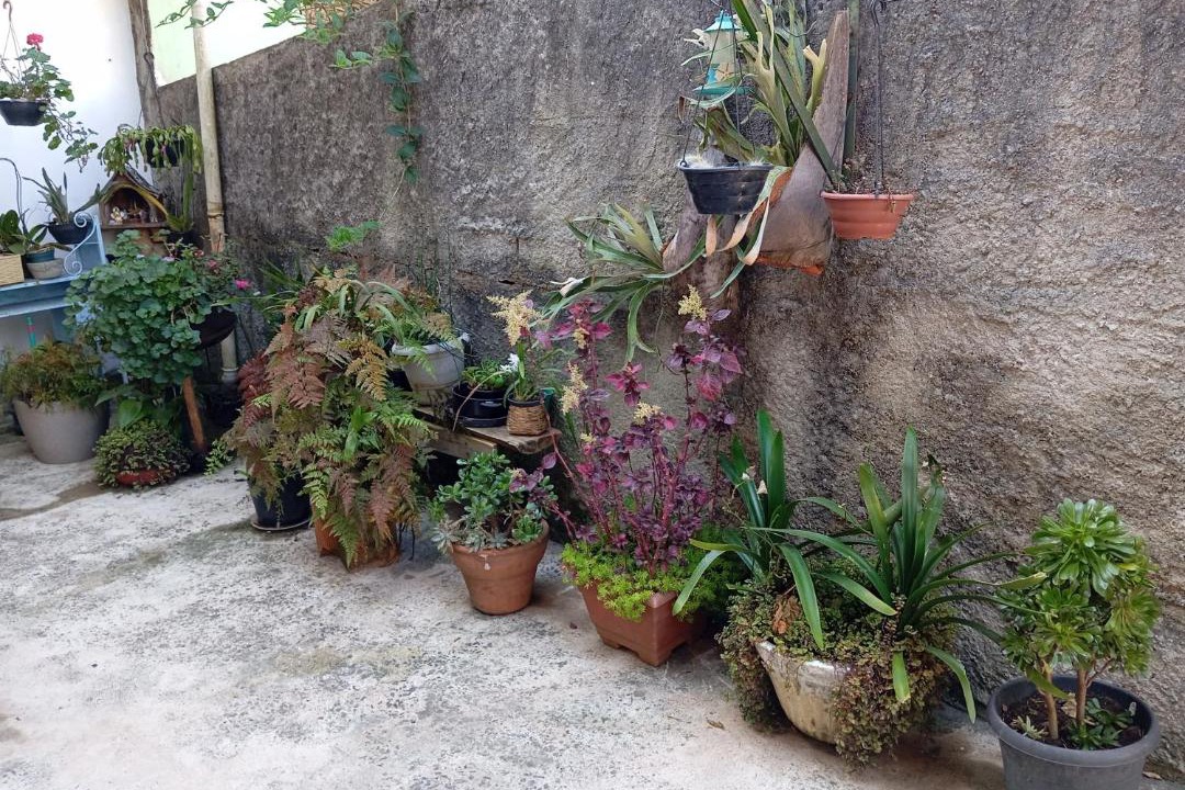 Photo of Others in Vila Loli
