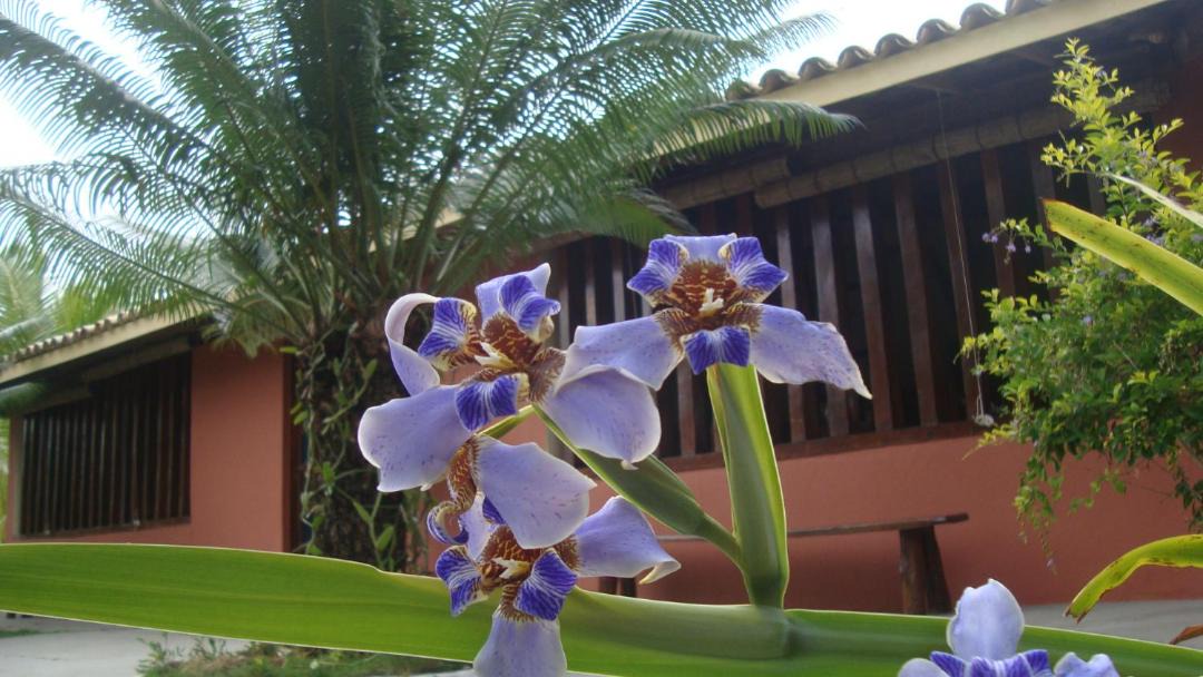 Photo of Others in Barra Grande