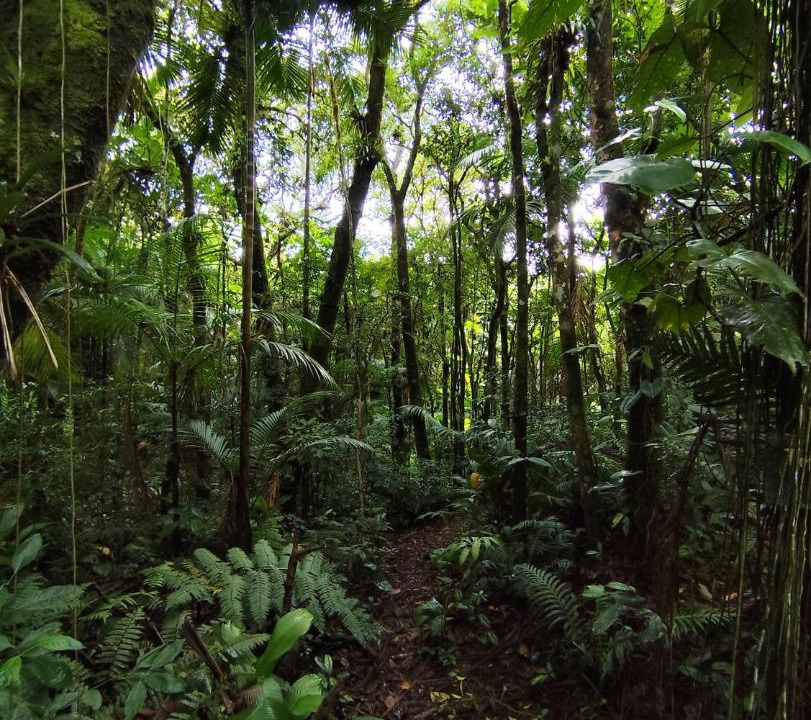Photo of Others in Sao Pedro de Alcantara