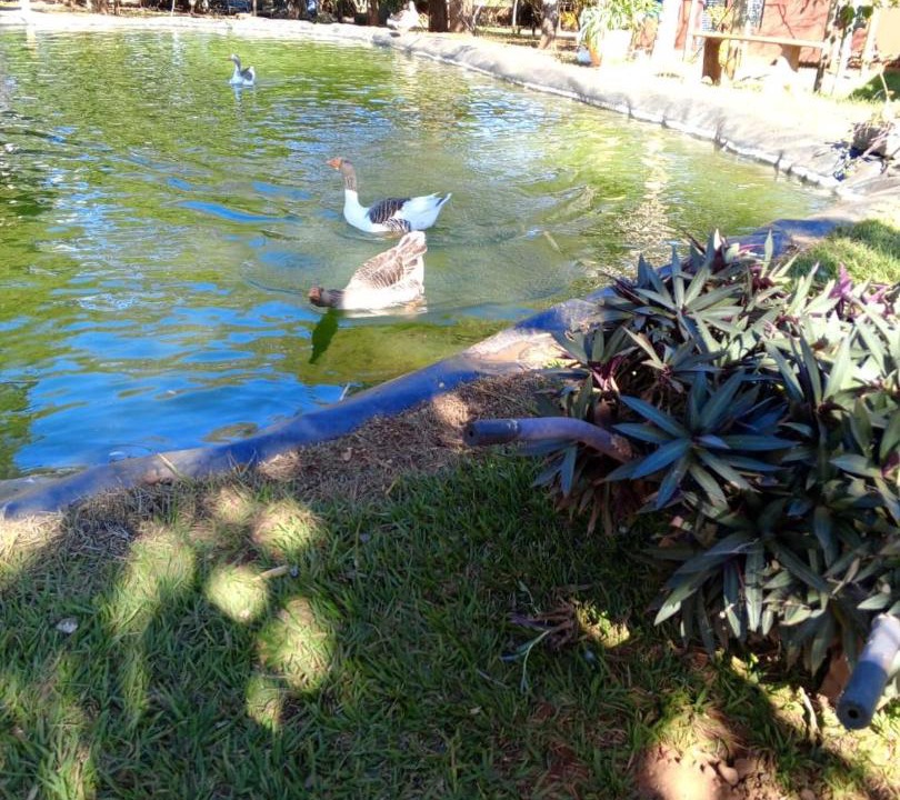 Photo of Others in Uberlandia