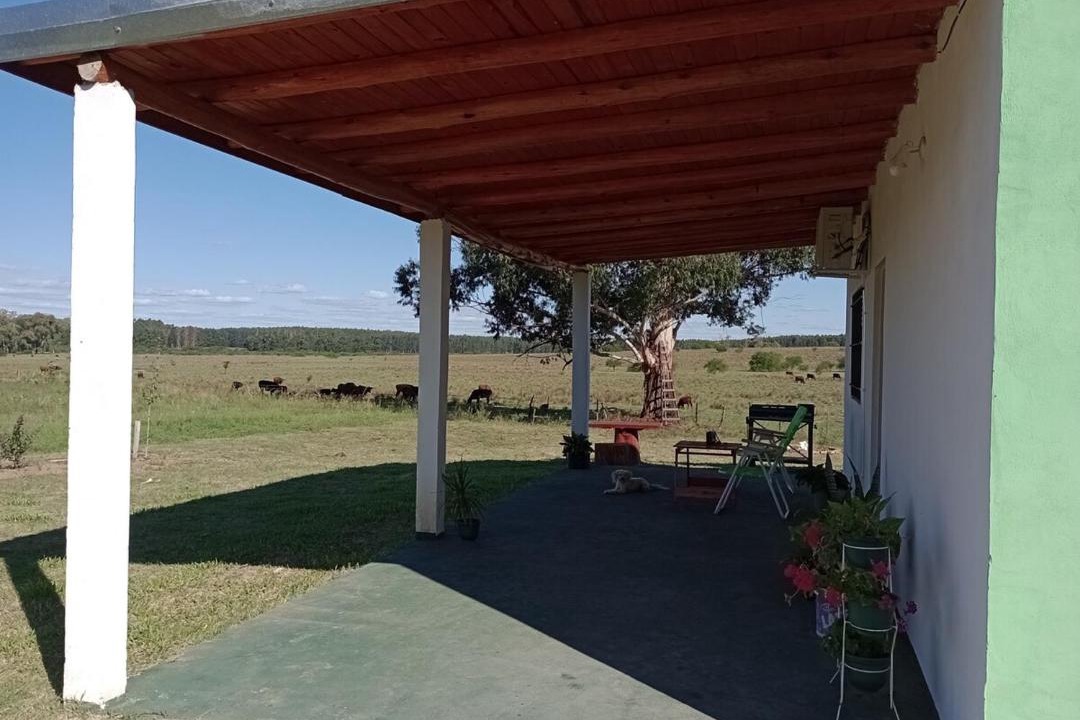 Photo of Others in Federacion