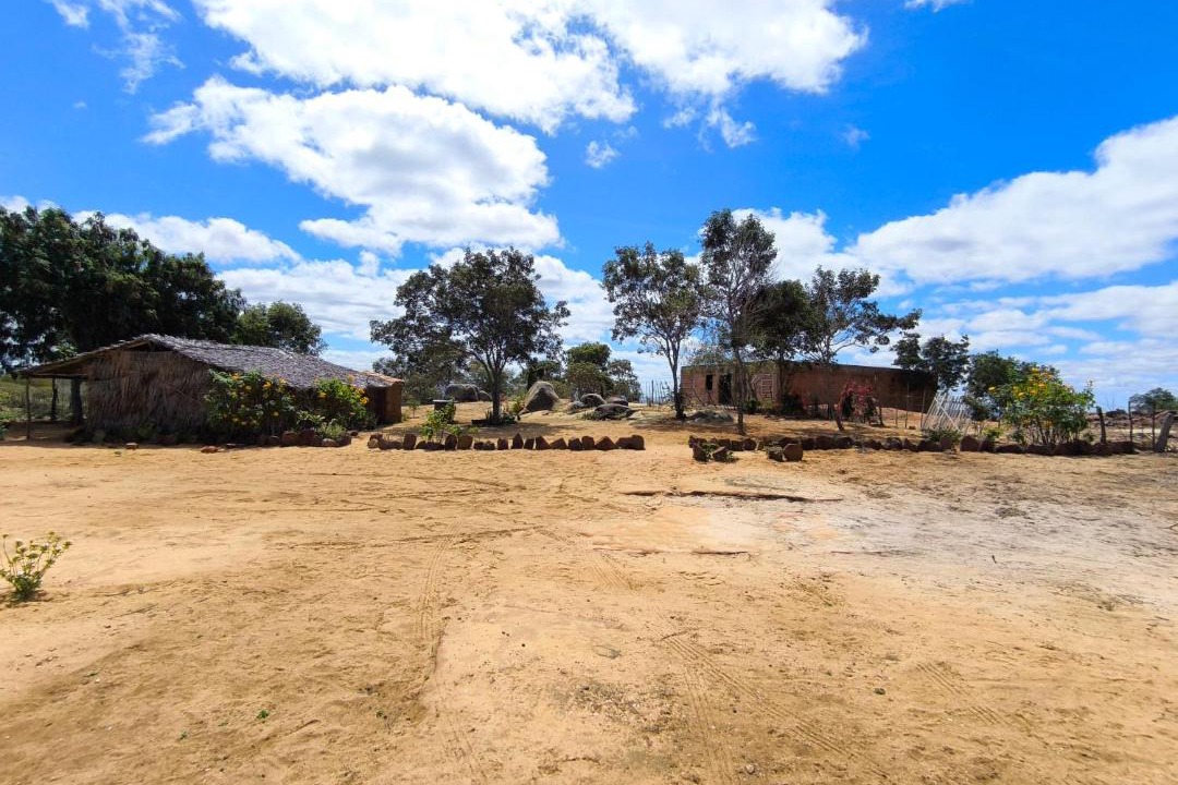 Photo of Others in Tupanatinga