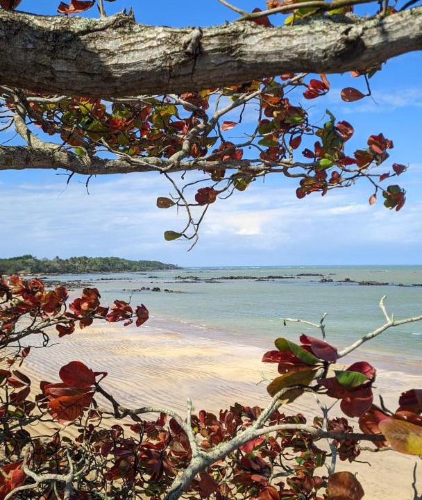 Photo of Others in Praia Grande