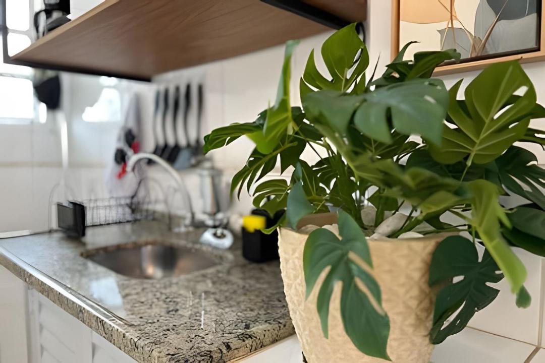 Photo of Kitchen in Gonzaga
