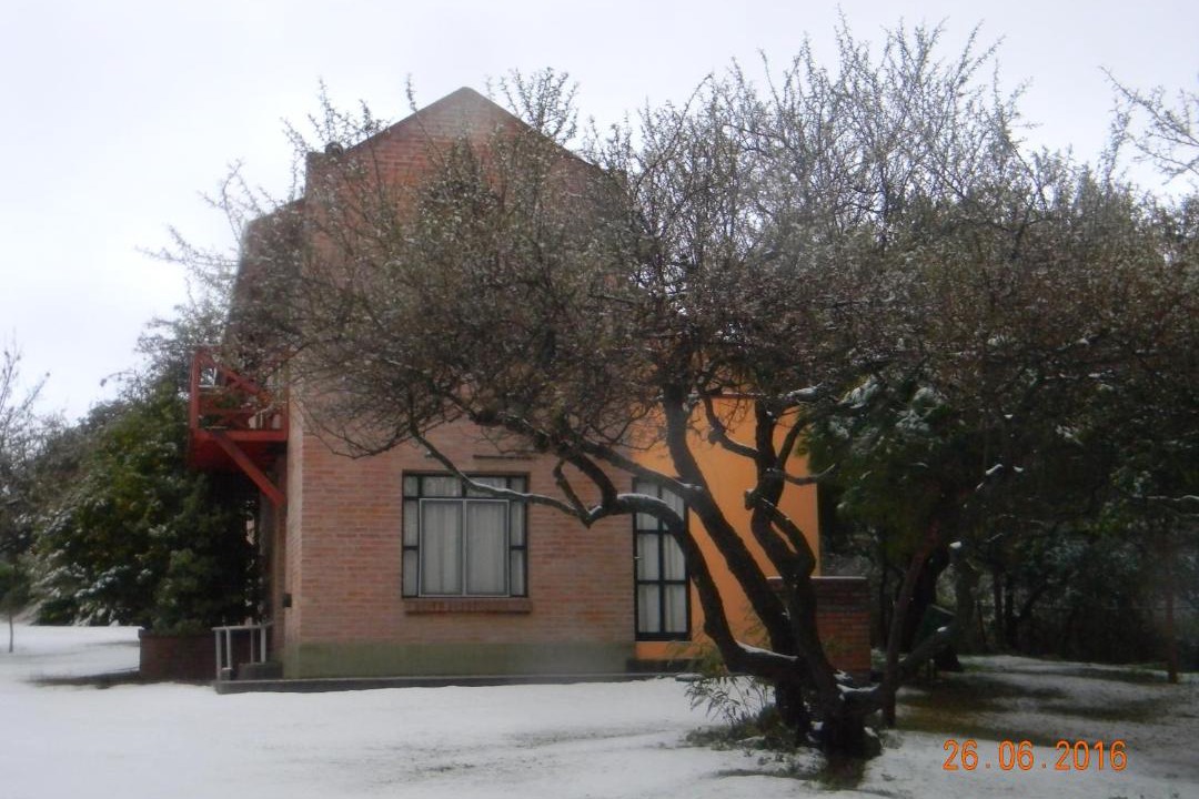 Photo of Others in Merlo