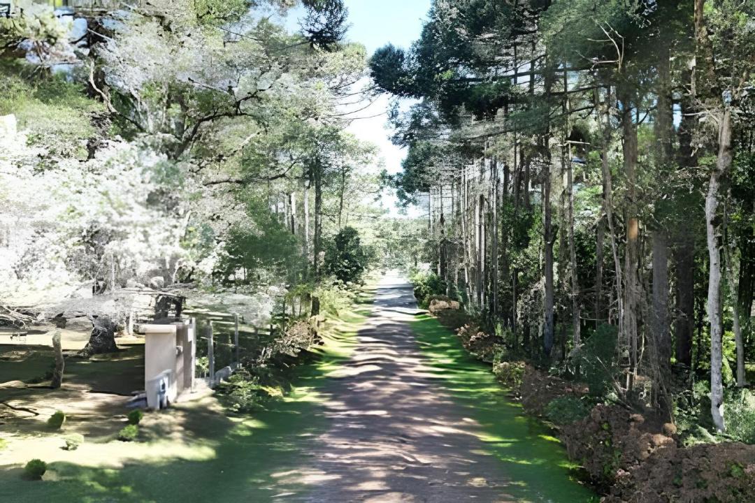 Photo of Others in Campo Alegre