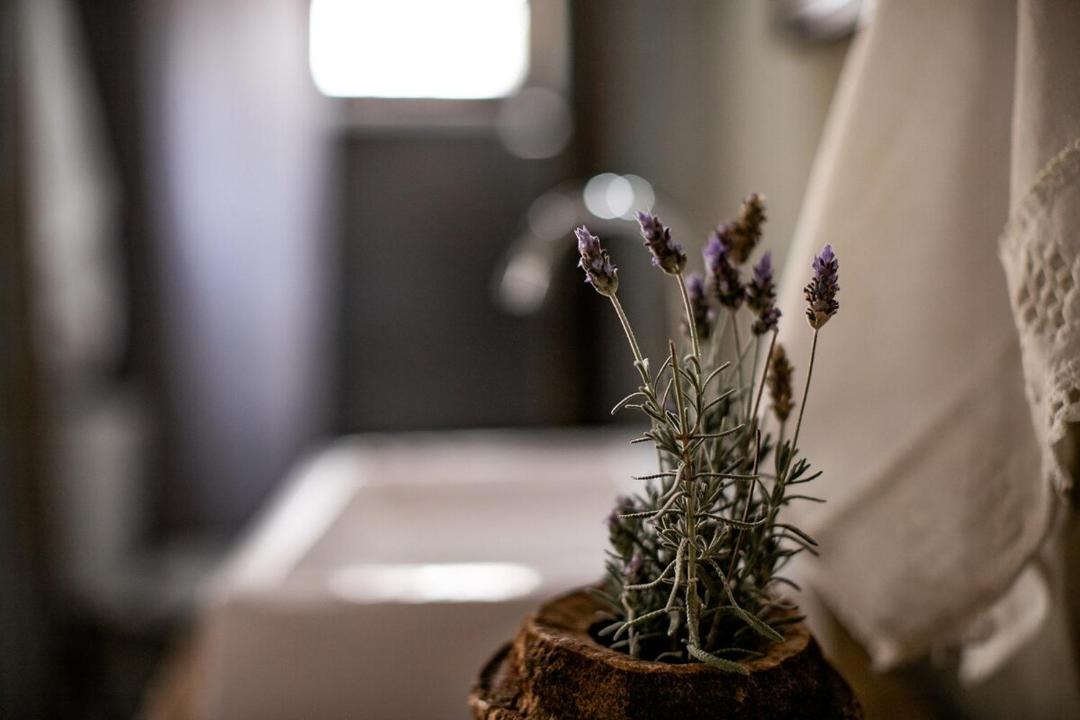 Photo of Bathroom in Itirapina