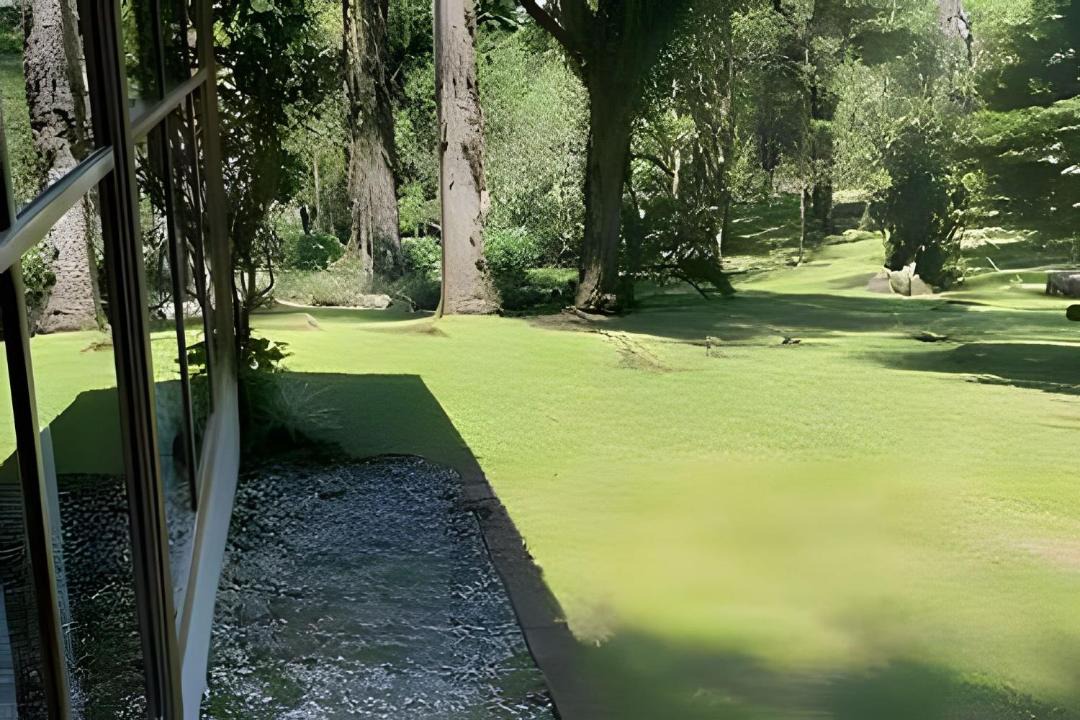 Photo of Others in Campo Alegre