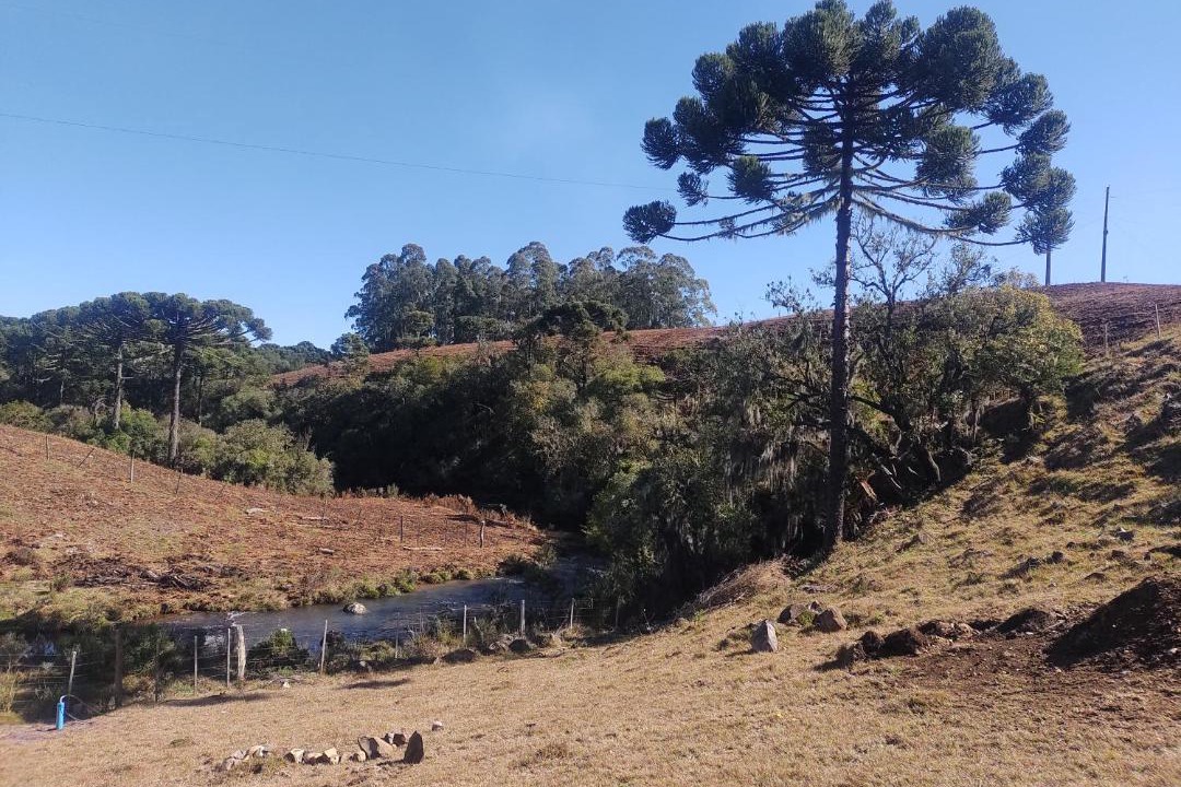 Photo of Others in Cambara do Sul