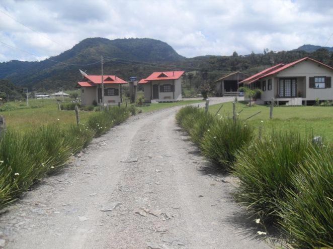 Photo of Others in Urubici