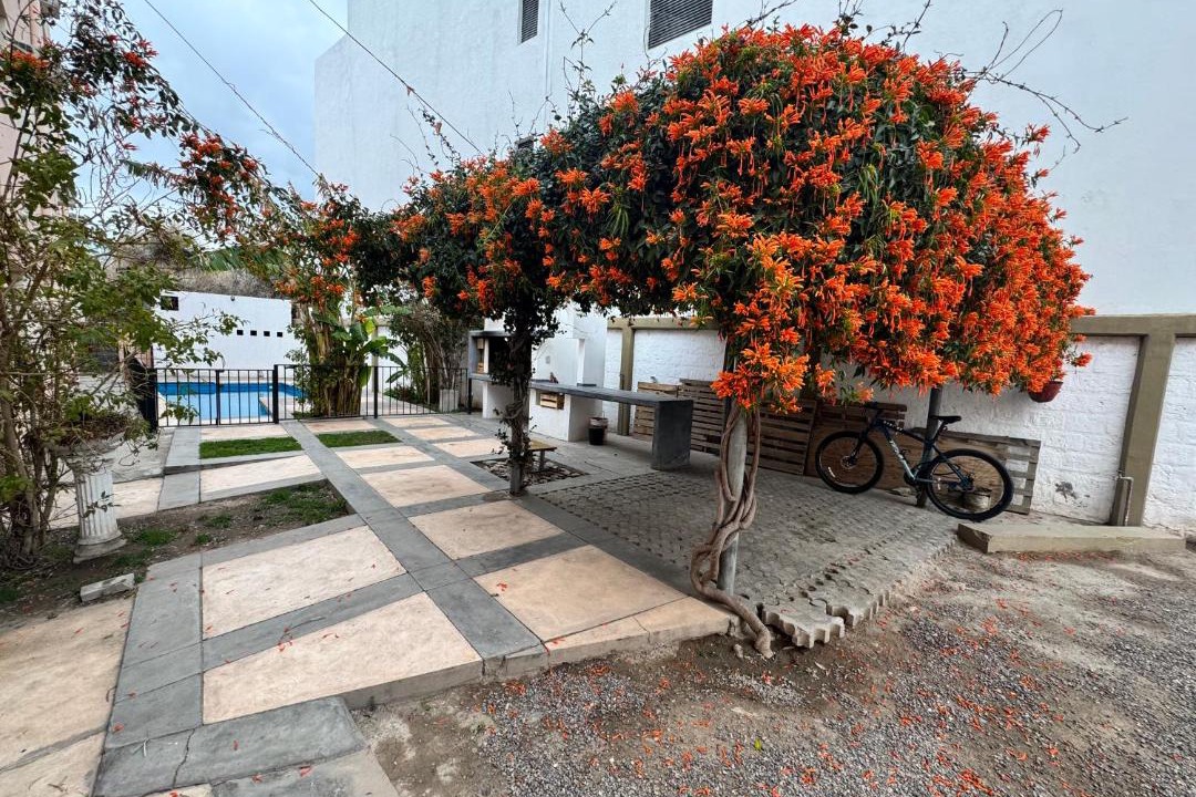 Photo of Others in San Juan