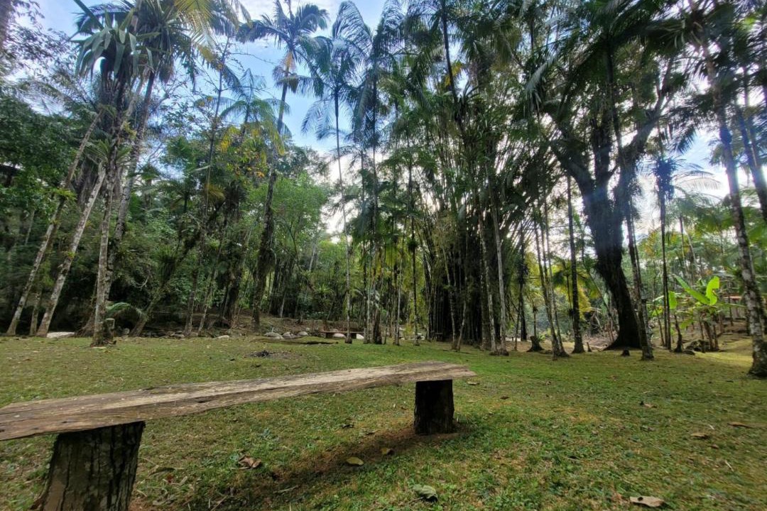 Photo of Others in Morretes