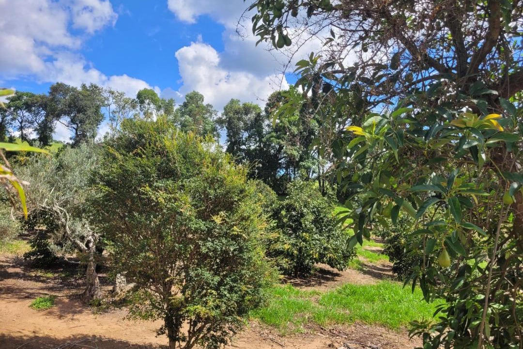 Photo of Outdoor in Pedra Bela