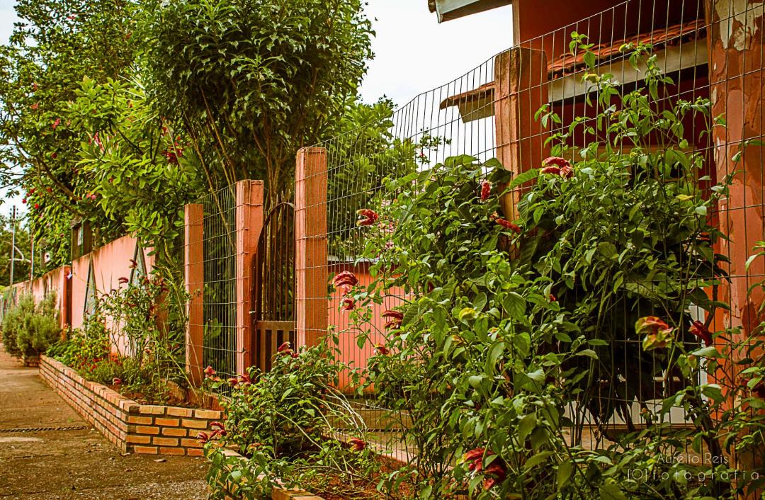 Photo of Others in Alto Paraiso de Goias
