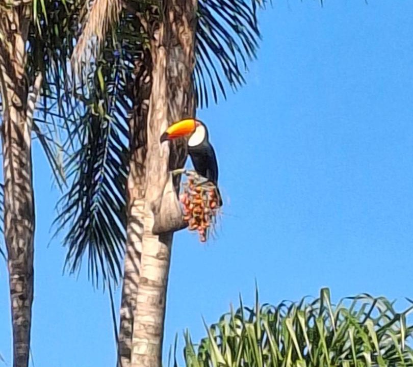 Photo of Others in Sao Pedro