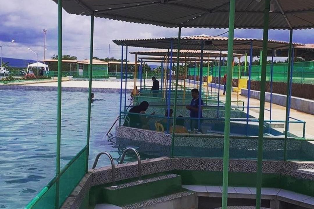 Photo of Others in Petrolandia